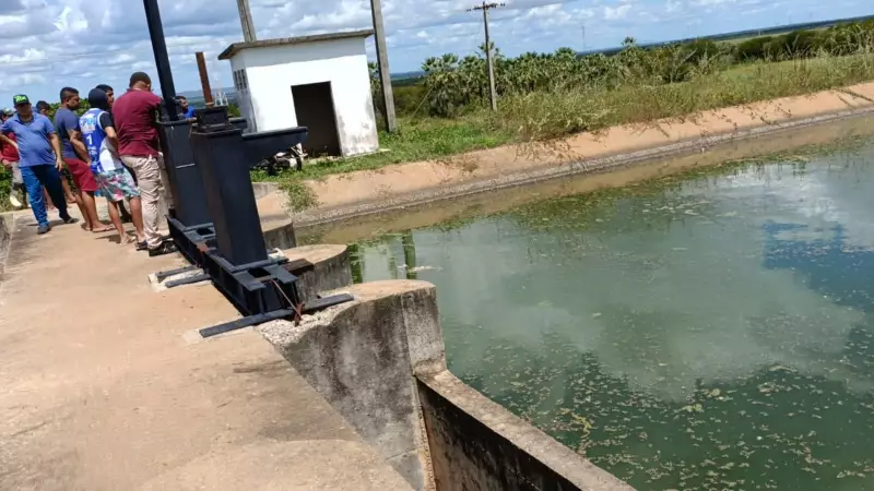 Homem morre ao pular em canal para fugir de ataque de abelhas no Ceará