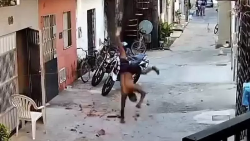 Homem morre após cair de cabeça no chão ao fugir da polícia no Ceará; ele vendia drogas e estava armado