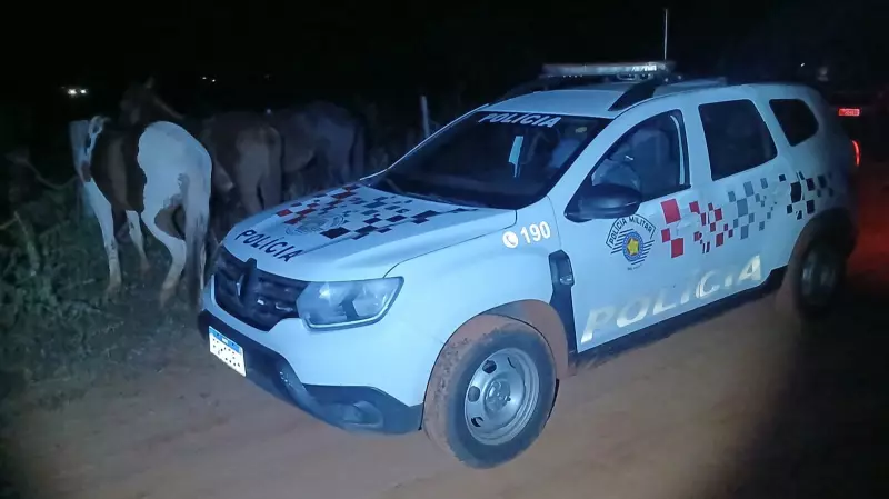 Homens são presos por dano ao patrimônio público ao tentar recuperar cavalos em Presidente Epitácio