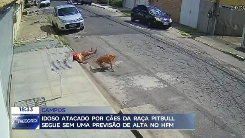 Idoso atacado por pitbulls no RJ segue internado sem previsão de alta