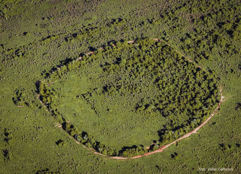 Imagens inéditas revelam mistérios de civilizações antigas na Amazônia