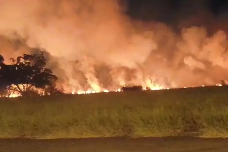 Incêndio atinge área de mata no terreno da antiga Unimep em Piracicaba