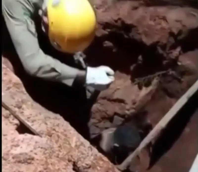 Indígena fica soterrado até o pescoço durante escavação em Santarém, PA — veja o resgate dramático