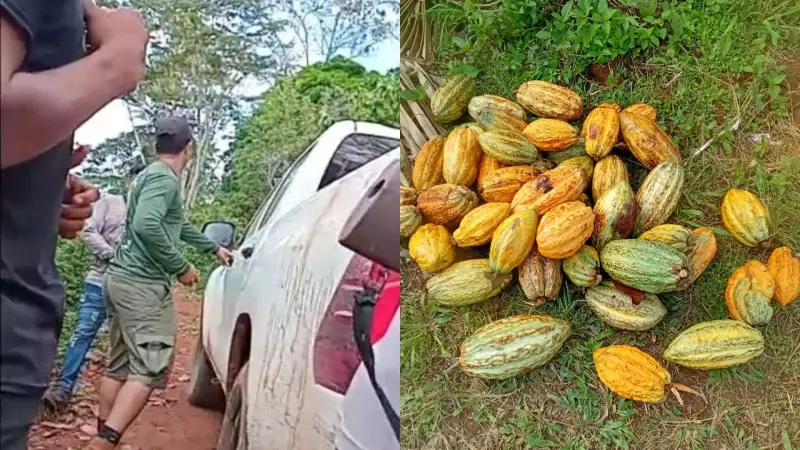 Indígenas Parakanã sofrem ataque a tiros na TI Apyterewa, no Pará: denúncia choca o Brasil