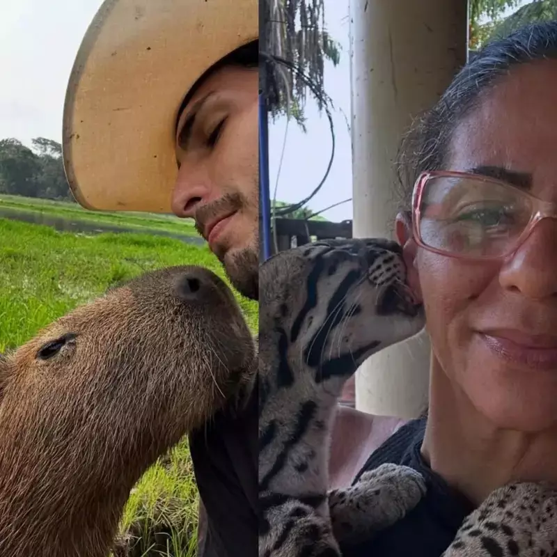 Influenciadores e a polêmica de exibir animais selvagens como pets: os riscos e impactos