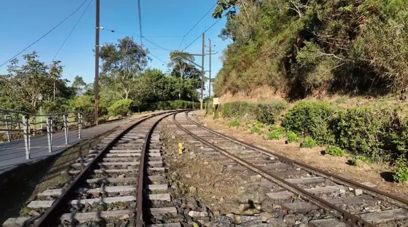IPS 2025: Santo Antônio do Pinhal tem qualidade de vida avaliada em novo índice – Confira os resultados!