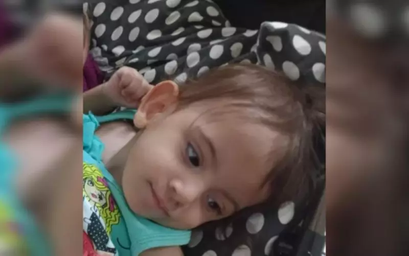 Irmã siamesa sobrevivente passa por nova cirurgia em Goiânia após perda da irmã