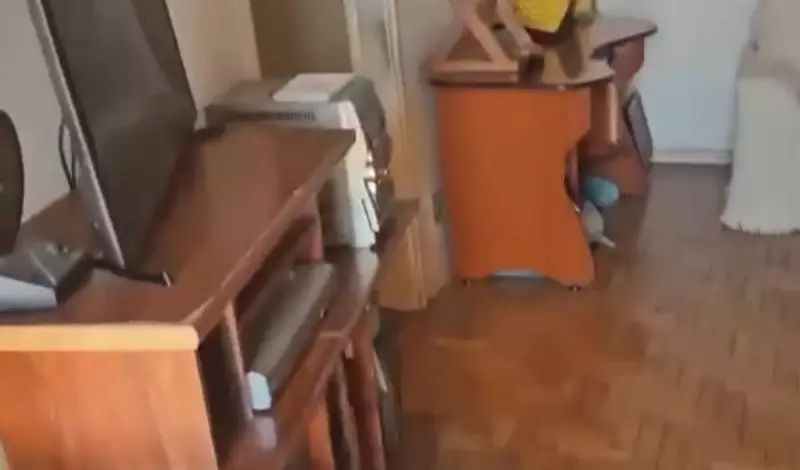 Irmãos são presos no Rio por manter corpo do pai em esqueletização dentro de casa
