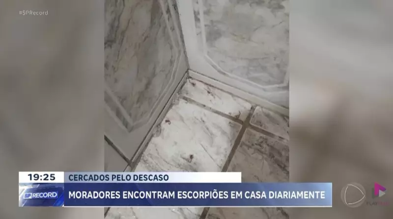 Jardim Paraíso, SP, enfrenta infestação de escorpiões: saiba como moradores estão combatendo o problema
