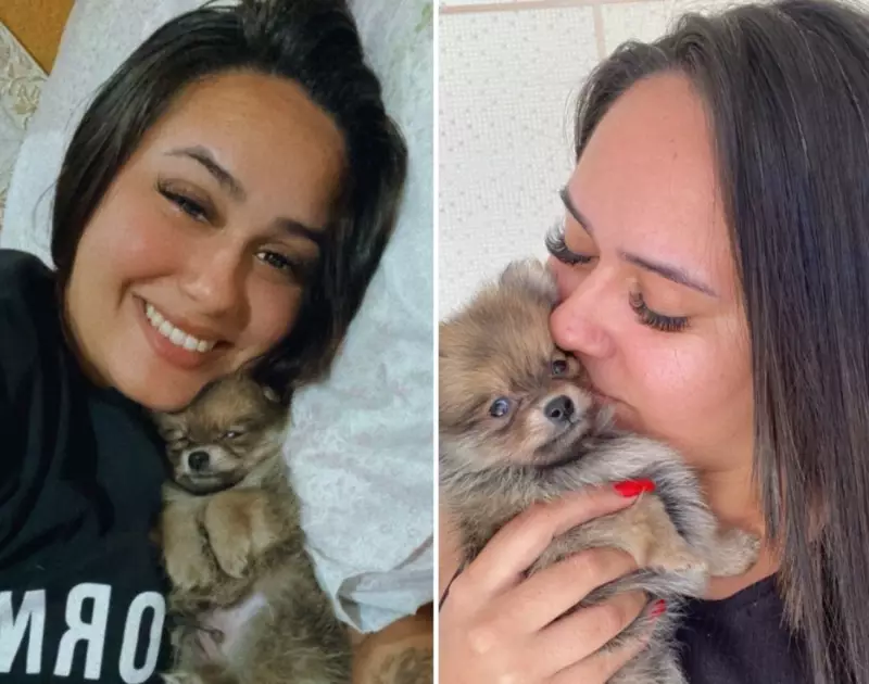 Jovem recebe novo pet da mesma raça após cachorro ser morto pelo ex: 'Confortou meu coração'
