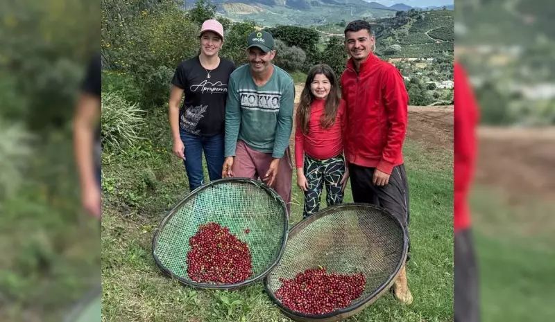 Jovens Agricultores Revolucionam a Produção de Café no Caparaó