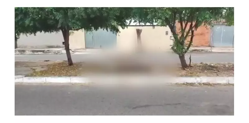 Jumento morto em avenida causa transtornos e revolta em Teresina