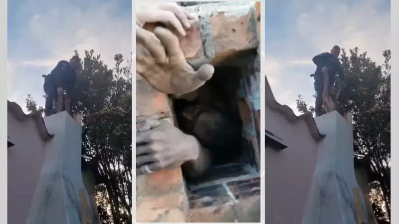 Ladrão fica preso em chaminé e grita por socorro no Paraná; veja o vídeo do resgate