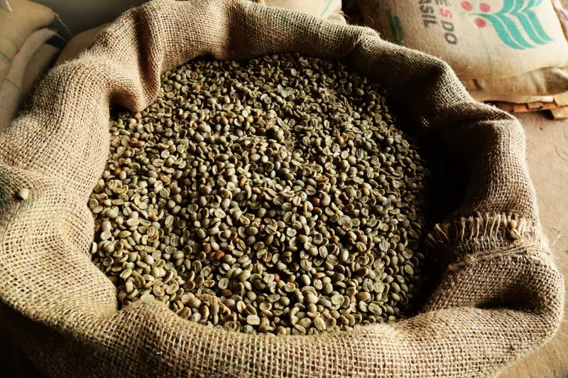 Ladrões roubam 10 sacas de café em Carmo do Rio Claro (MG) — veja detalhes