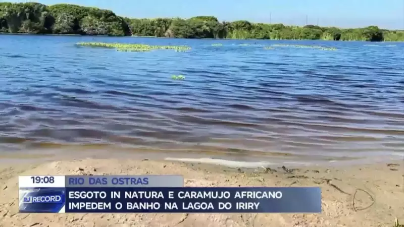 Lagoa do Iriry no RJ: Esgoto e Caramujos Africanos Tornam Banho Impossível
