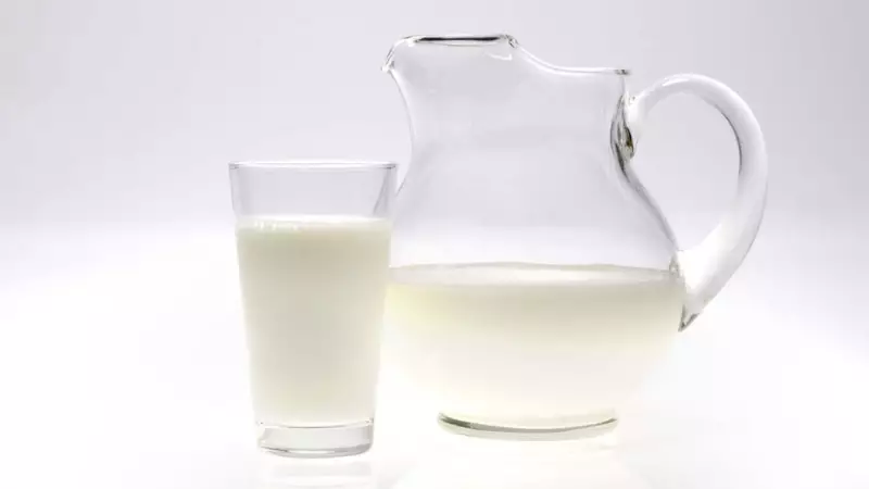 Leite sem vacas: Nova tecnologia produz proteína láctea em laboratório