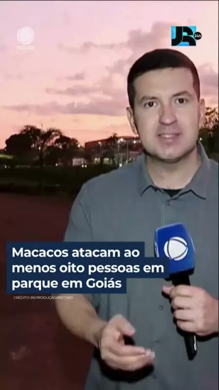 Macacos atacam visitantes em parque de Goiás: pelo menos 8 feridos