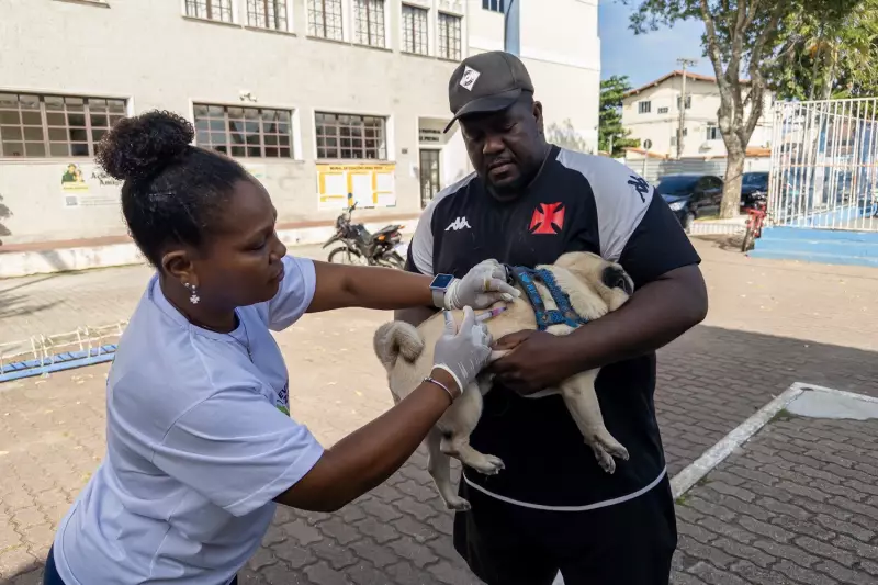 Macaé vacina 3 mil animais em campanha antirrábica: saiba como proteger seu pet