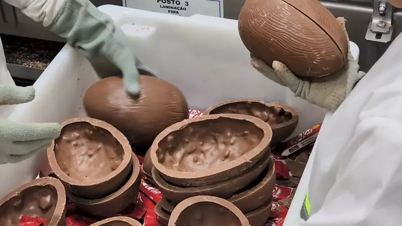 Maior fábrica de chocolates da América Latina abre vagas temporárias para produção de ovos de Páscoa