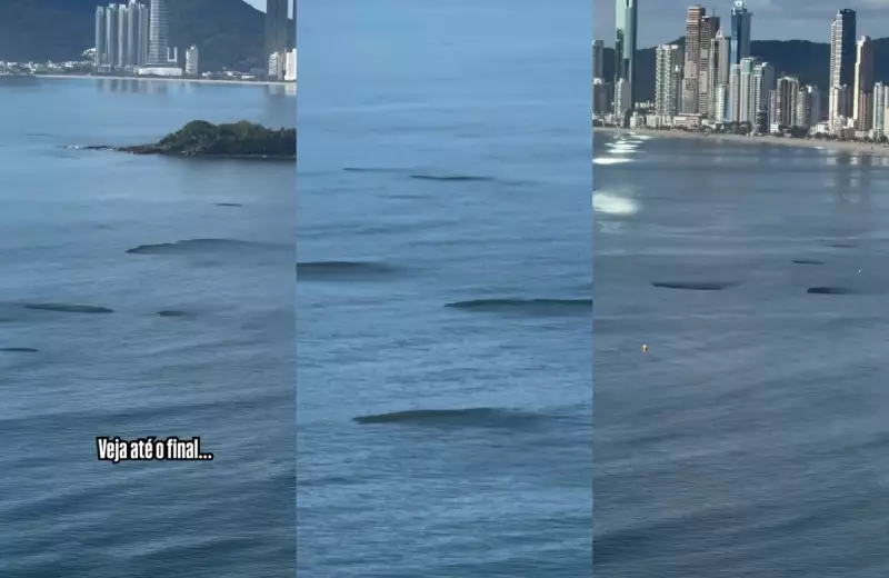 Manchas escuras no mar de Balneário Camboriú intrigam moradores e especialistas