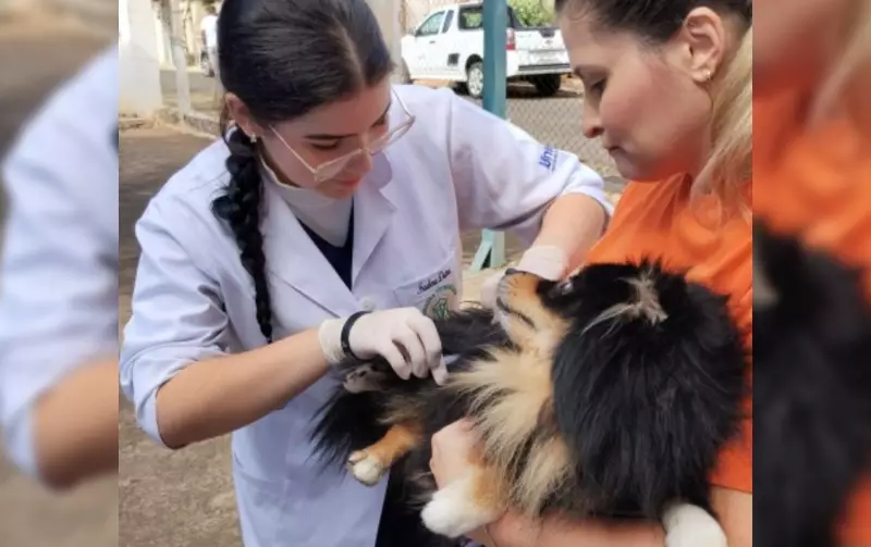 Marília promove ação de vacinação antirrábica para cães e gatos neste sábado