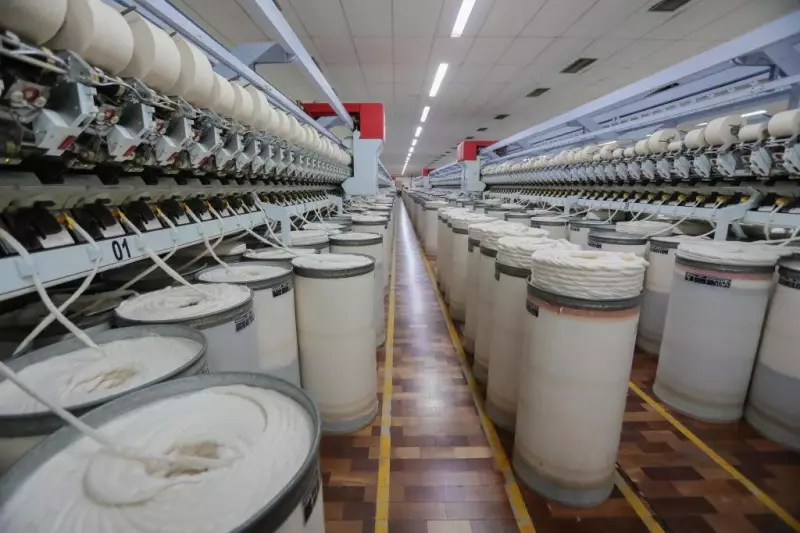 Mato Grosso lidera crescimento industrial em 2025: saiba os motivos