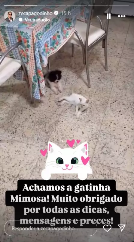 Mimosa, a gata de Zeca Pagodinho, é encontrada após sumiço: saiba os detalhes!