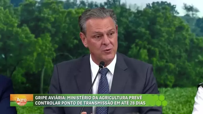 Ministério da Agricultura anuncia plano para conter gripe aviária em 28 dias: entenda as medidas