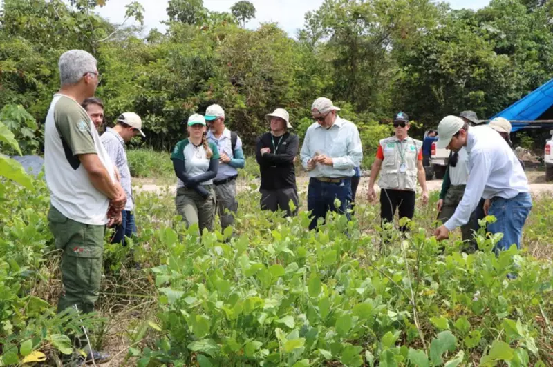 Ministério do Meio Ambiente lança comissão para recuperar vegetação nativa do Brasil