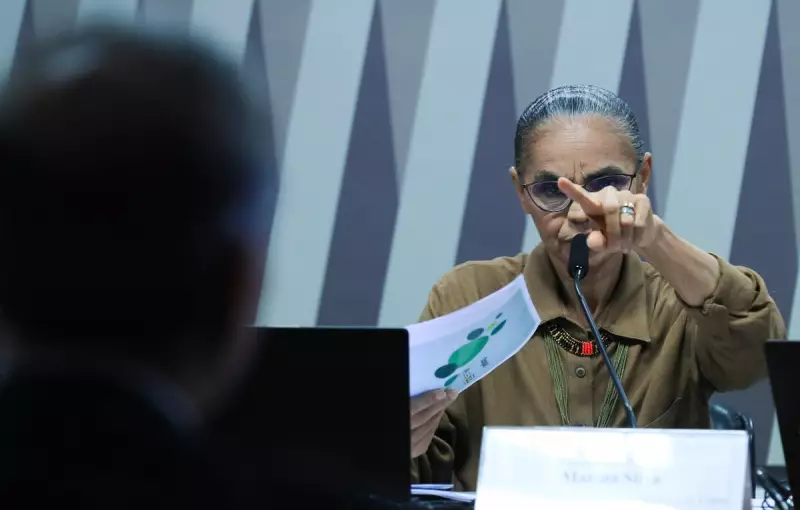 Ministros defendem Marina Silva após discussão acalorada com senadores