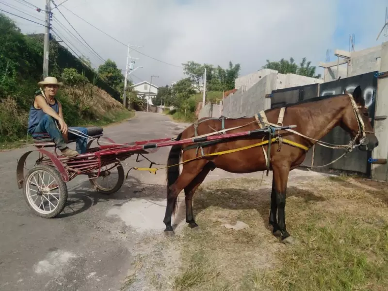 Morador de Santa Isabel usa charrete como transporte e diz: 'O cavalo e o carro que Deus deixou'