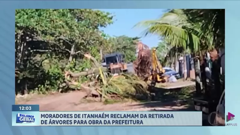 Moradores de Itanhaém (SP) protestam contra remoção de árvores para obra municipal