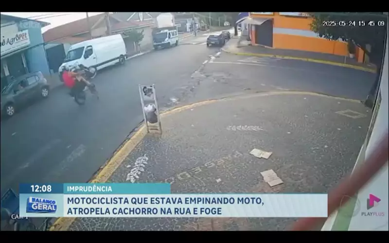 Motociclista atropela cachorro enquanto empinava moto e foge sem prestar socorro em SP