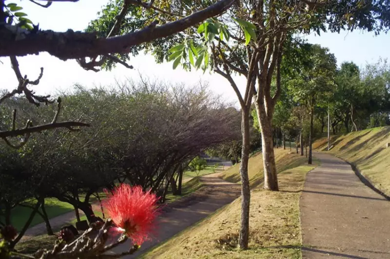 Mulher é encontrada nua e ferida em praça de Sorocaba: caso é investigado como estupro