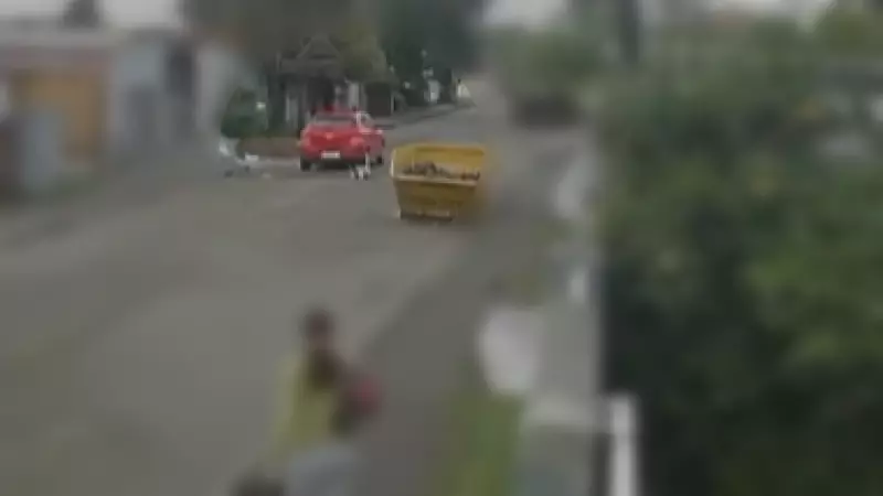 Mulher é indiciada por maus-tratos após atropelar cachorro e não prestar socorro no Paraná