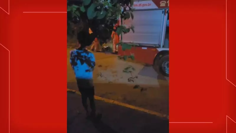Mulher em estado grave após ser esfaqueada pelo ex-companheiro no DF: caso choca e reacende debate sobre violência doméstica