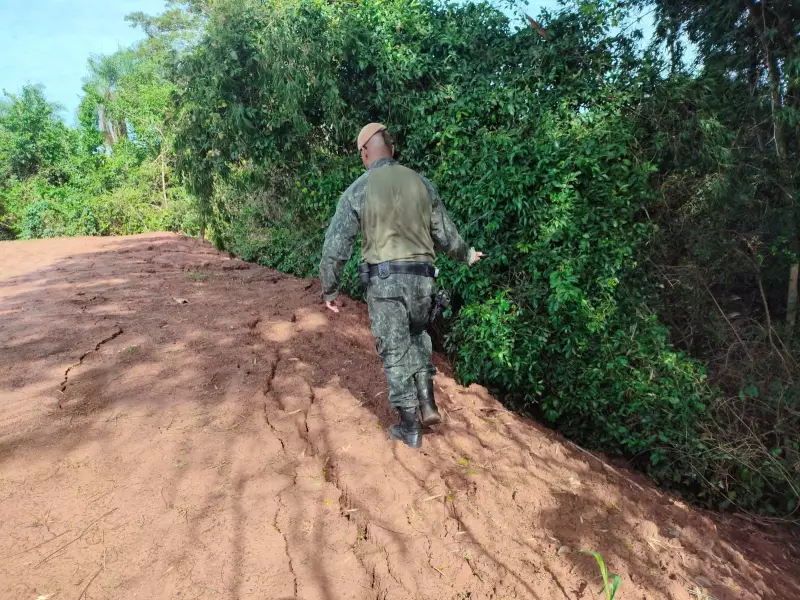 Multa de R$ 44 mil por degradação ambiental às margens do Rio Paraná em Rosana