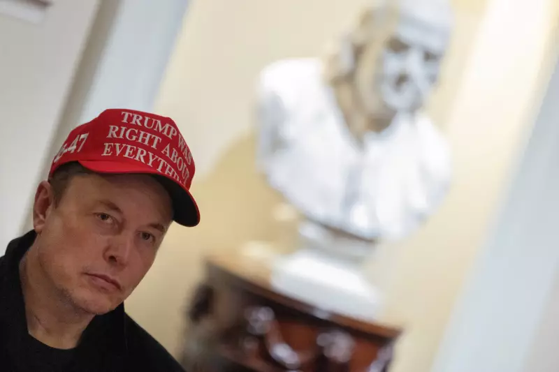Musk deixa cargo e Trump revela equipe: os destaques da política e tecnologia