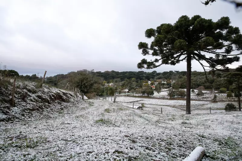 Neve, chuva congelada e geada: descubra as diferenças entre esses fenômenos climáticos