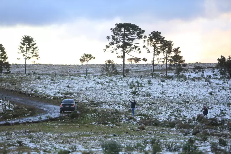 Neve e chuva congelada: onda de frio intenso atinge Santa Catarina - Previsão detalhada