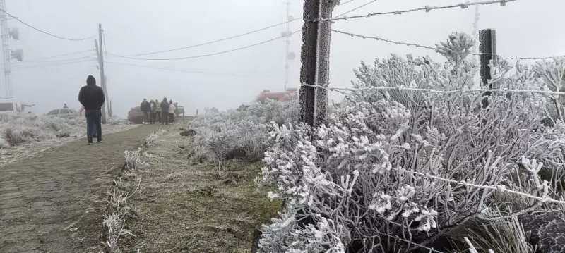 Neve na Serra Catarinense: Cidades se preparam para onda de frio intenso