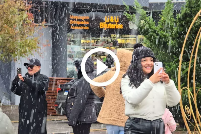 Neve transforma São Joaquim em cenário de filme: veja imagens deslumbrantes!