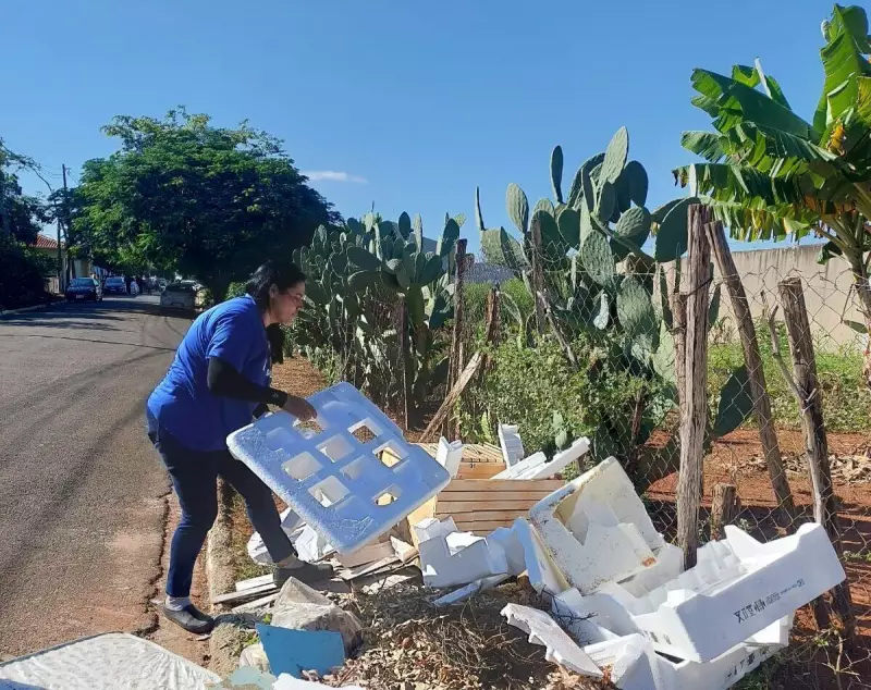 Nova Odessa registra duas mortes por dengue em 2025: saiba como se proteger