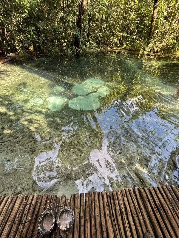 O Som da Areia de Brotas: Uma Tradição que Ecoa por Gerações