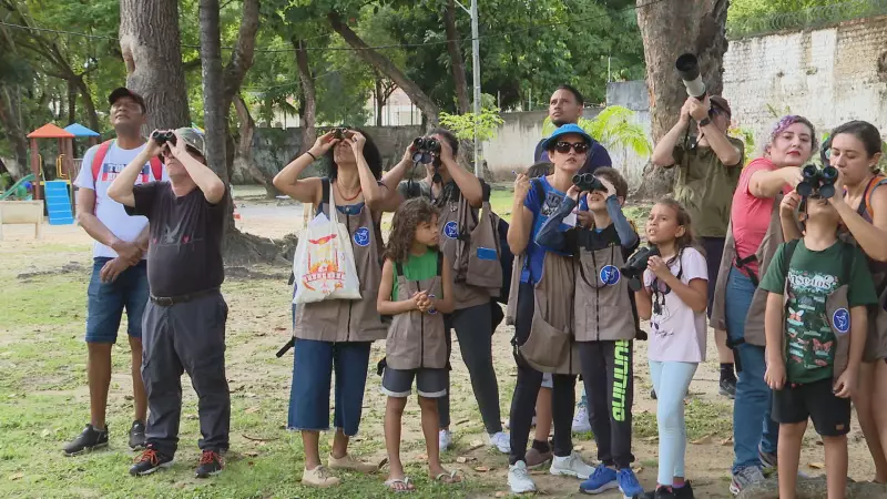 Observação de pássaros no Recife: projeto une lazer e conscientização ambiental