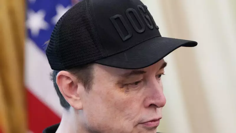Olho roxo de Elon Musk vira assunto: "Ele me pediu para socar e eu soco", diz lutador