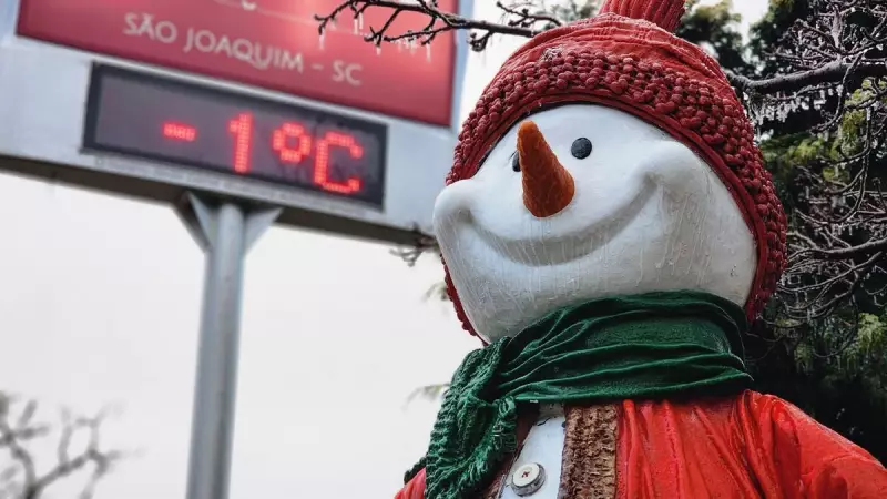 Onda de ar polar: entenda o fenômeno que pode trazer neve ao Sul do Brasil
