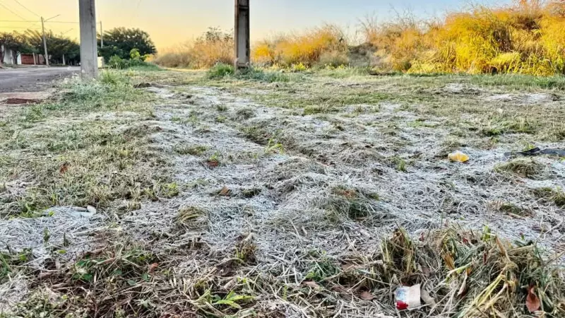 Onda polar atinge Mato Grosso do Sul e causa geada em várias cidades — veja fotos