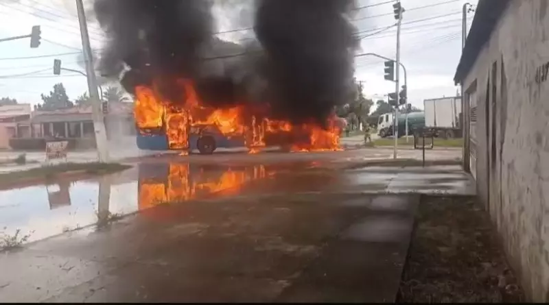 Ônibus pega fogo e fica destruído em Santana, AP; veja o vídeo impressionante