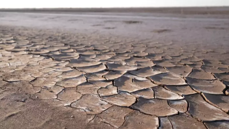 ONU alerta: aquecimento global pode bater recorde nos próximos 5 anos — especialistas emitem alerta vermelho